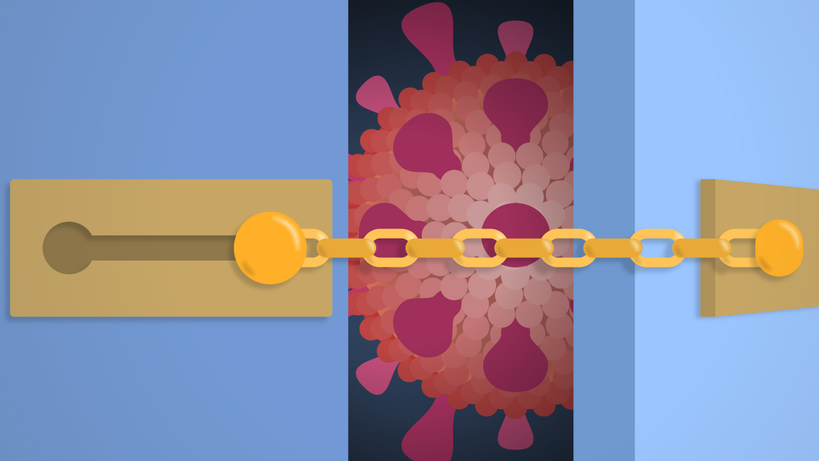 Прорывные инфекции вырабатывают "супериммунитет" к COVID-19