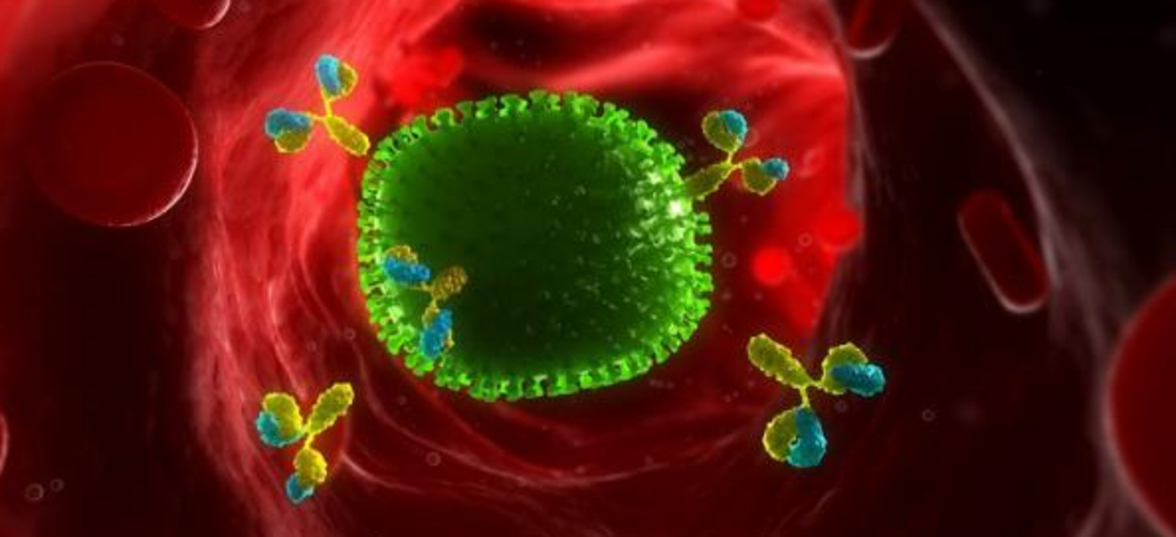 ВИЧ-инфекция: улучшая понимание резервуара вируса в организме