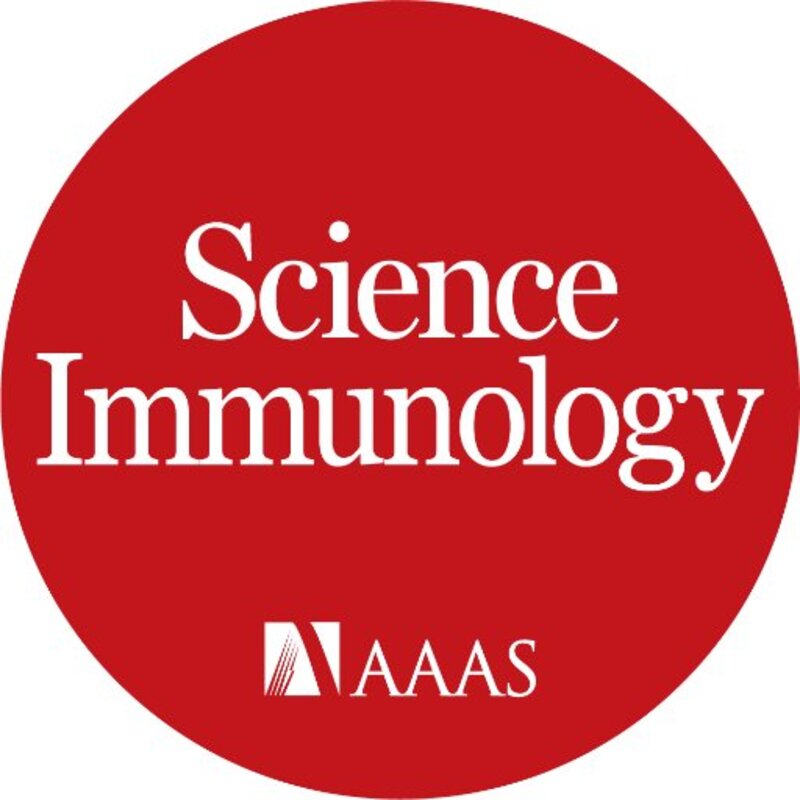 Вакцинация до или после инфицирования SARS-CoV-2 приводит к устойчивому гуморальному ответу и появлению антител, эффективно нейтрализующих варианты