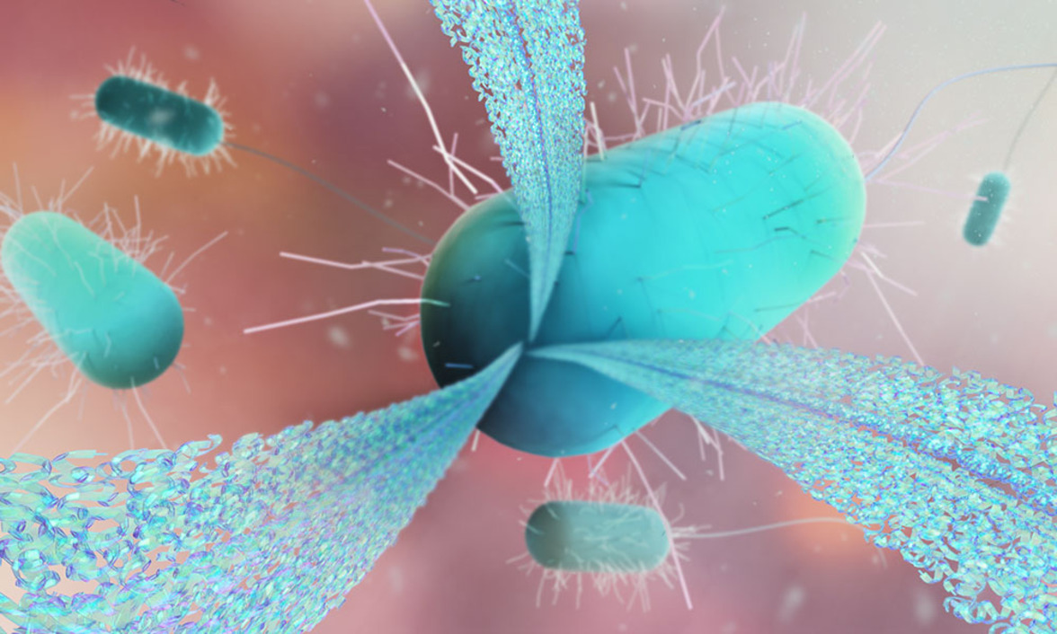 Исследование выявляет неожиданные связи между сезоном гриппа и резистентностью грамотрицательных патогенов 