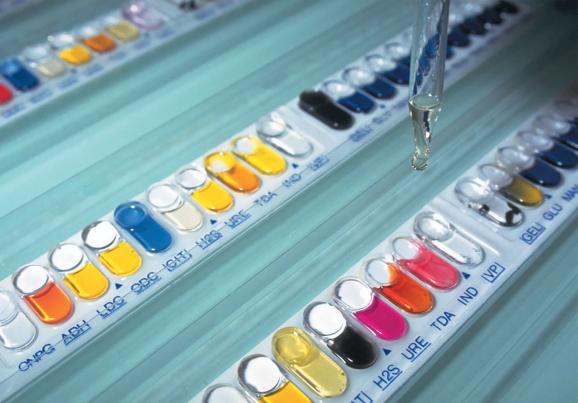 Классика идентификации: стрипы API®