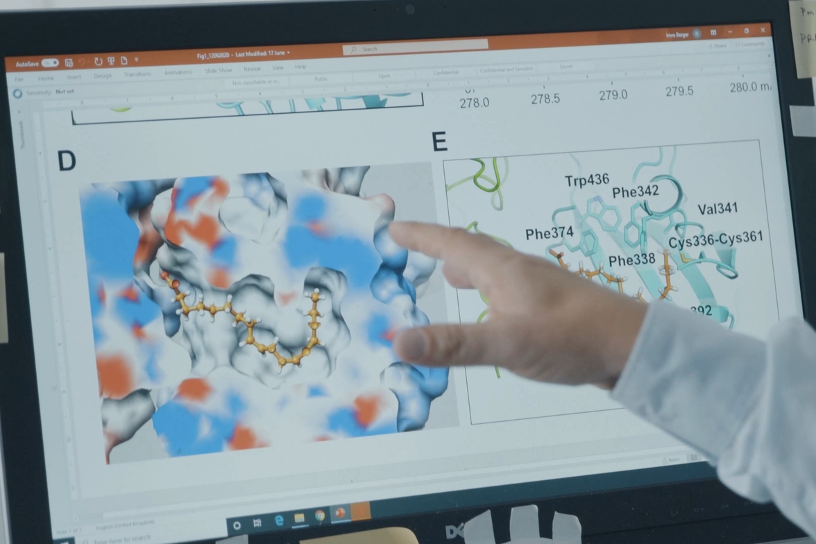 Инфицированные SARS-CoV-2 люди могут иметь его различные варианты, скрытые в разных частях тела