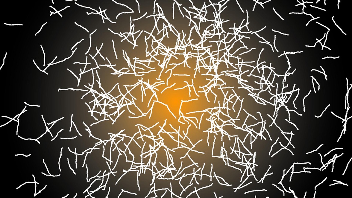 Как гормоны стресса направляют бактерии в организме хозяина