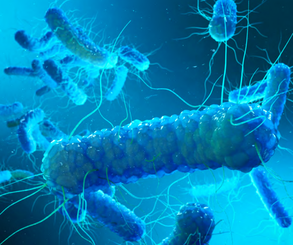 Американское общество инфекционных болезней (IDSA) опубликовало новое руководство по лечению резистентных к антимикробным препаратам грамотрицательных инфекций