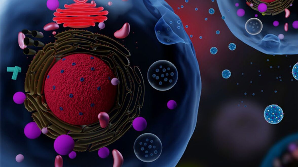 Расшифровка "разговоров" микробиома кишечника для борьбы с ВЗК