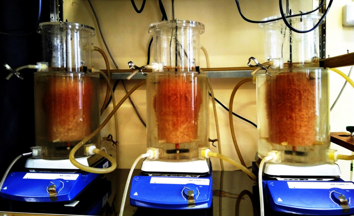 Ученые помогли обитателям биореактора для очистки сточных вод справиться со стрессом