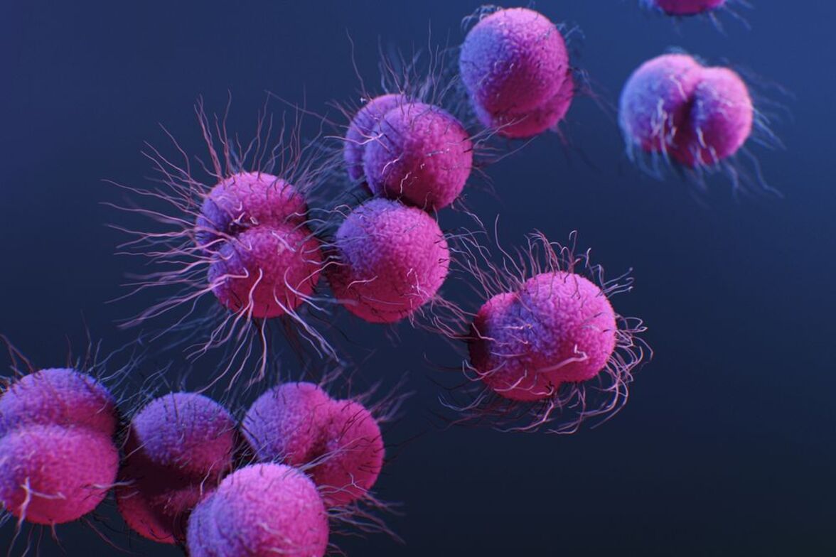 Цервиковагинальная микробиота предсказывает клиническую картину при инфекции Neisseria gonorrhoeae