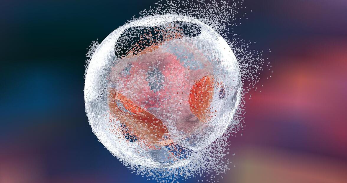 Открыт новый тип клеточной смерти