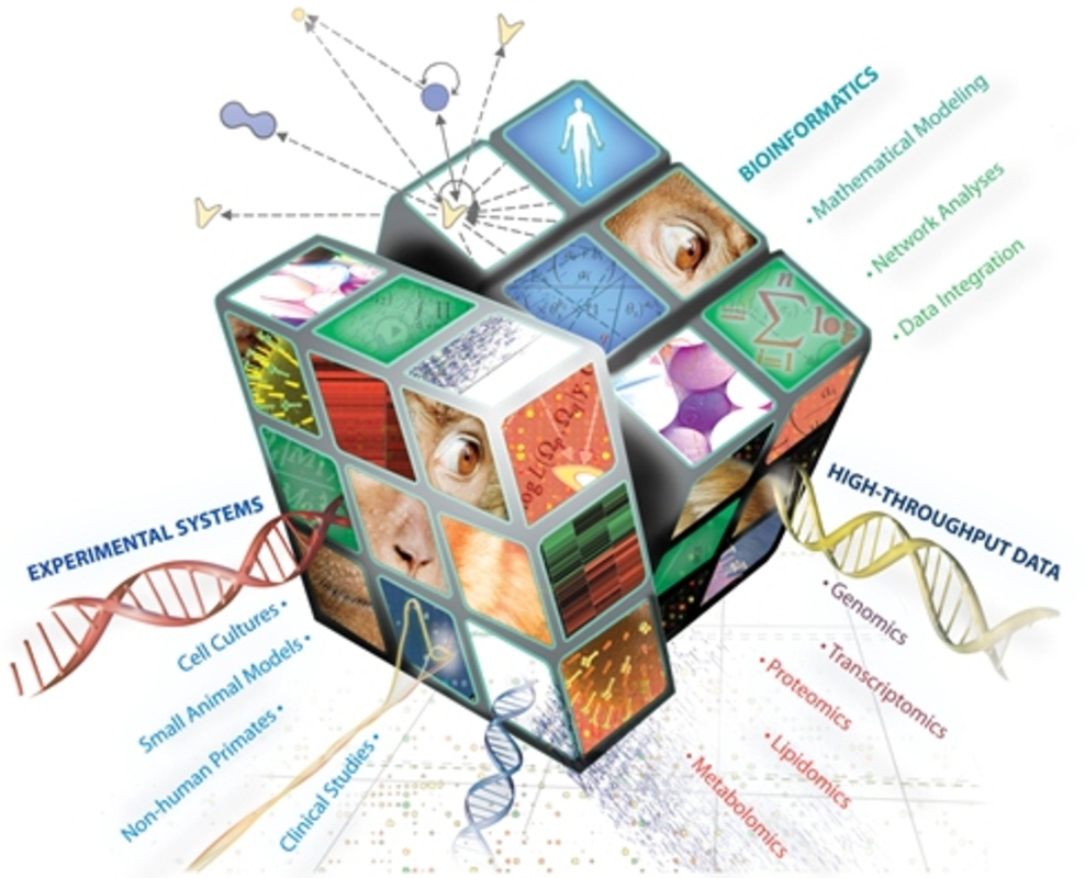 Исследование выявило сложные взаимосвязи между бактериями и маркерами инфекции нижних дыхательных путей и воспаления при муковисцидозе