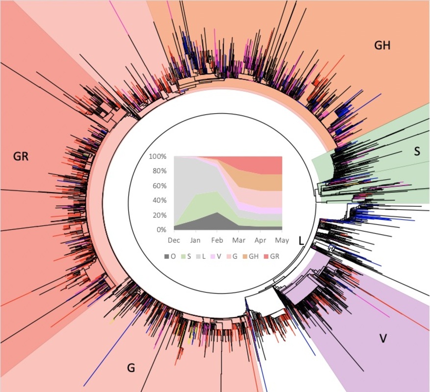 Пробелы в геномных данных могут помешать поиску следующего варианта COVID