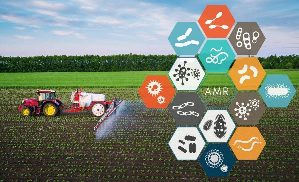 Резистентность к противомикробным препаратам в пищевой цепи: являемся ли мы тем, что мы едим?