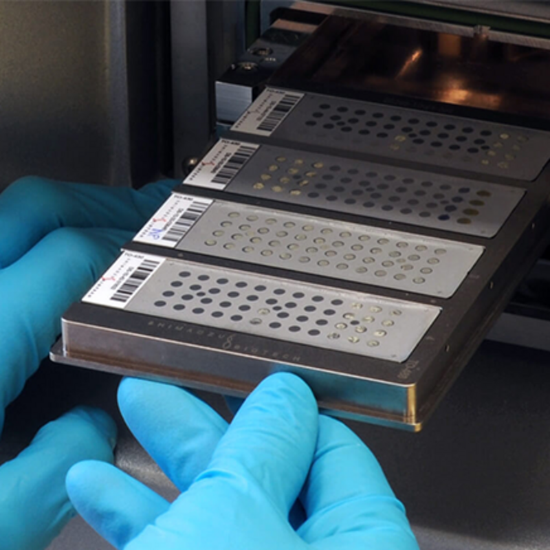 Быстрая идентификация комплекса Mycobacterium tuberculosis с помощью масс-спектрометрии: апробация концепции