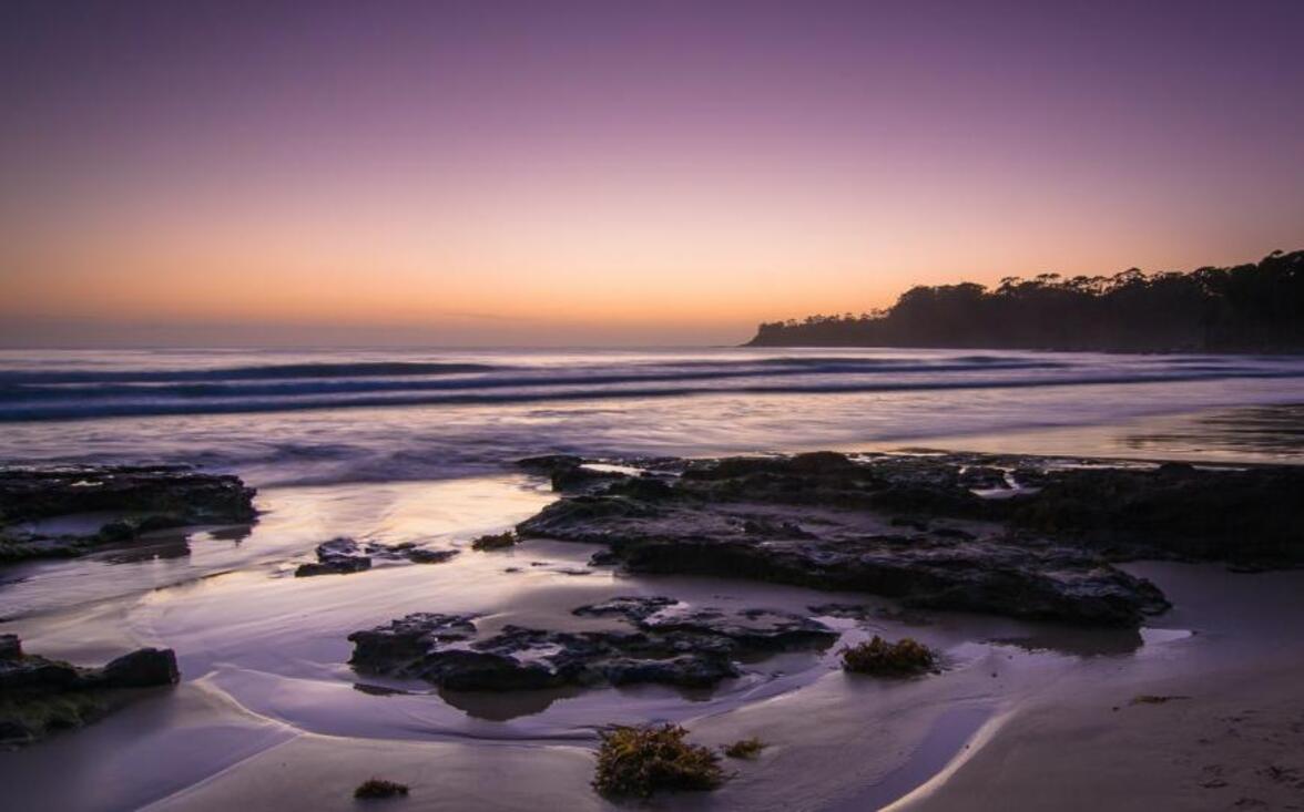Тысячи новых РНК-вирусов обнаружены в пробах океанской воды