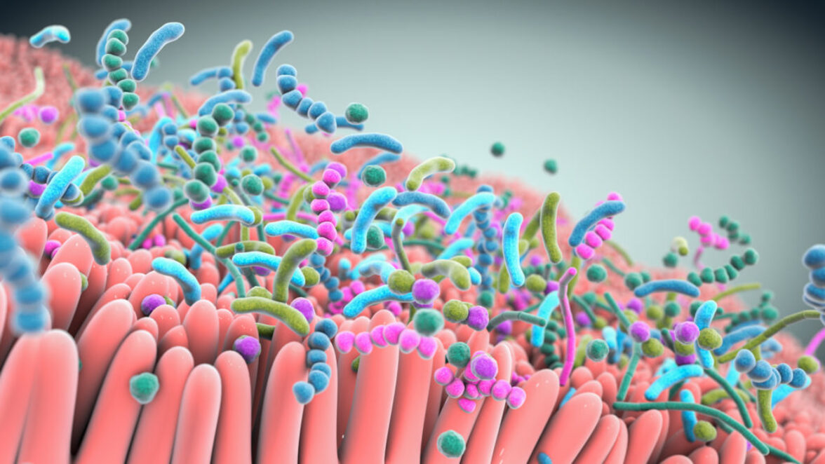 Стандартные ректальные мазки как суррогатный метод для мониторинга микробиома кишечника в интенсивной терапии