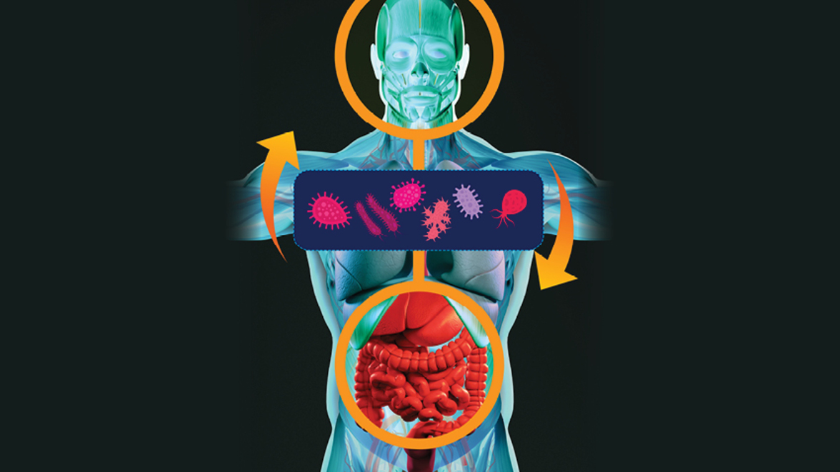 Расшифровка прямого диалога между микробиотой кишечника и мозгом