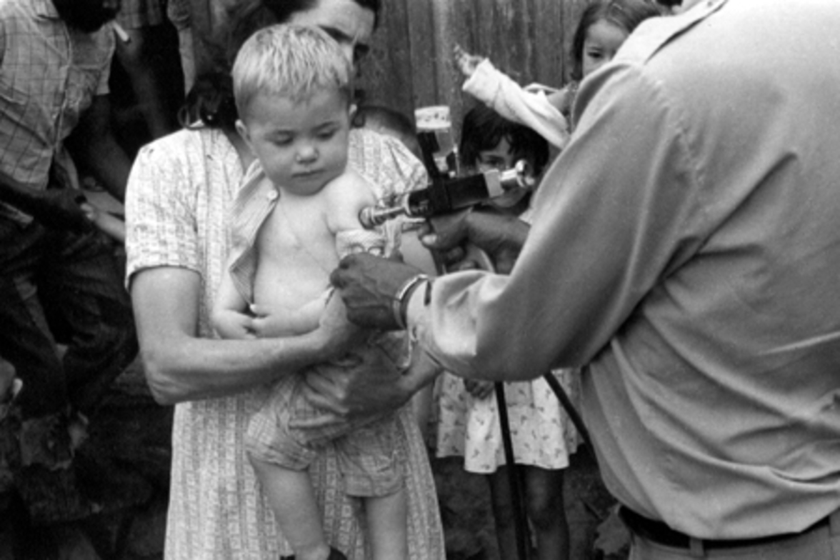 Вакцинация против оспы вызывает значительное увеличение комменсальных бактерий кожи, которые  усиливают иммунный ответ