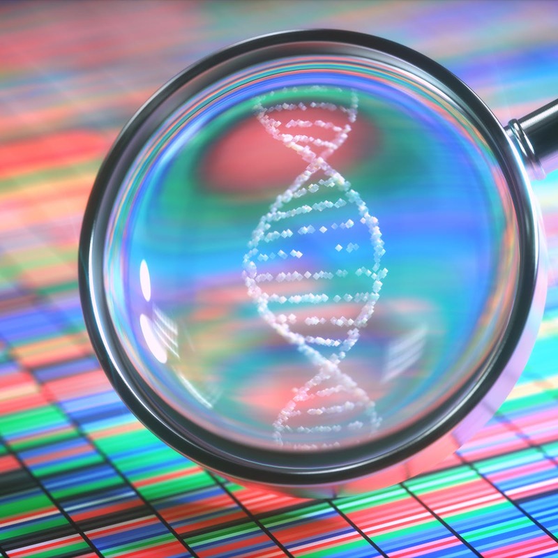 Генетическое разнообразие C. difficile