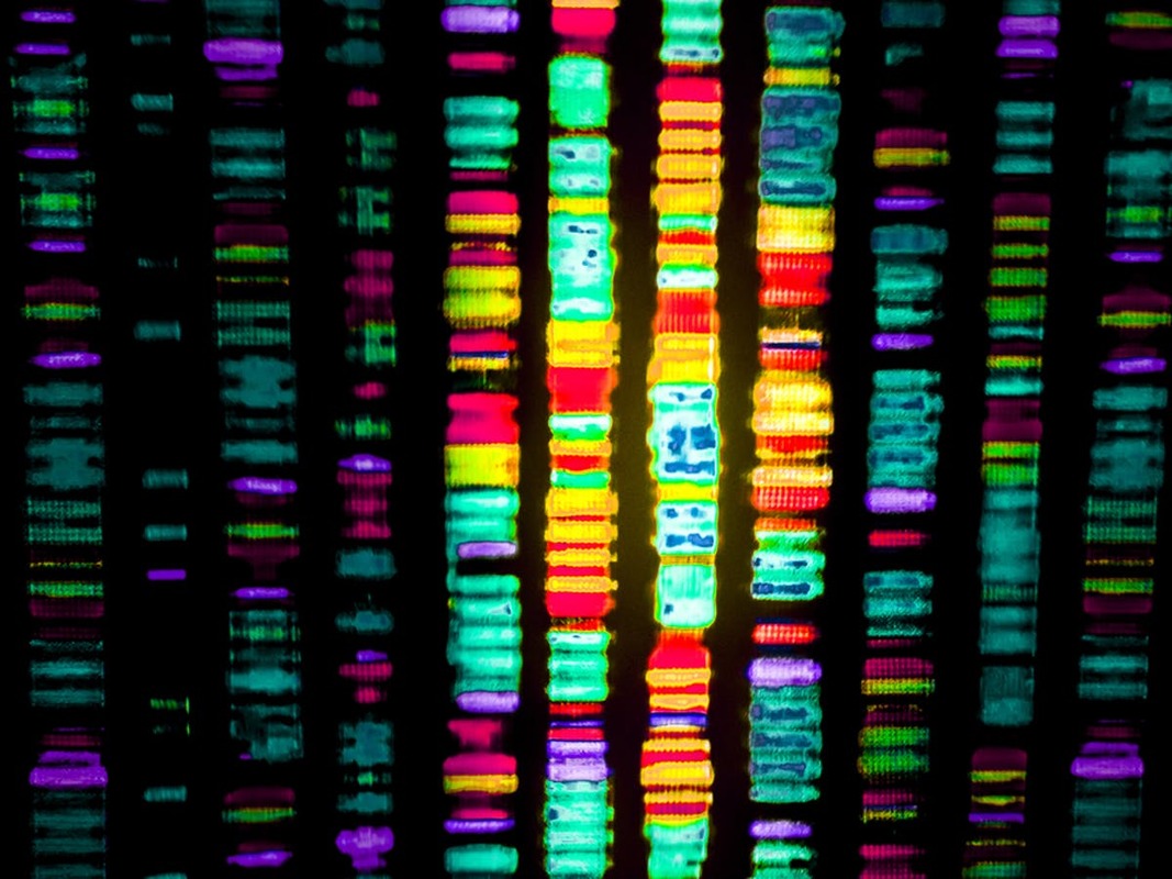 Исследователи выявили редкие генетические маркеры лекарственно-резистентного туберкулеза