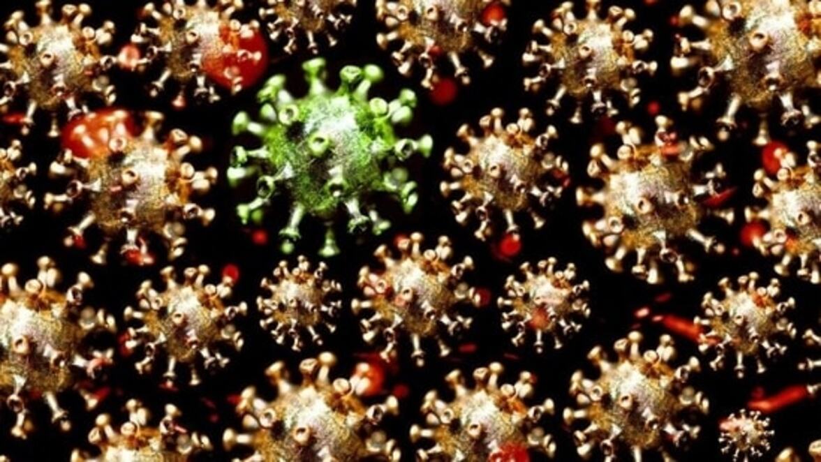 Новые версии Омикрона - мастера уклонения от иммунитета