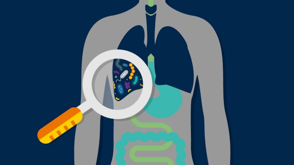 Возрастной дисбиоз кишечника и насыщение легких специфическими кишечными бактериями ассоциированы с повышенной восприимчивостью к инфекции Streptococcus pneumoniae
