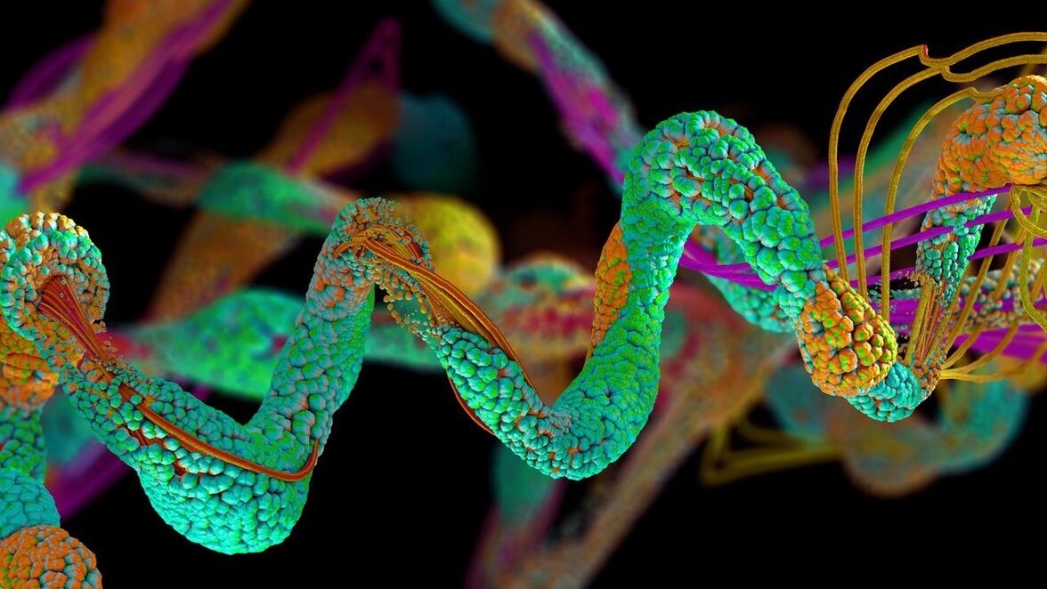 Протеомика в поиске биомаркеров туберкулеза: текущее состояние и будущие перспективы