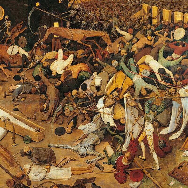 Хотите предотвратить пандемии? Остановите перенос патогенов из дикой природы