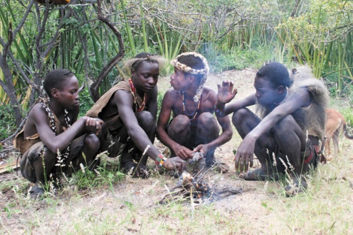 Генетические различия, прошедшие отбор в ходе эволюции, могут дать ключ к разгадке разных форм тяжести COVID-19 