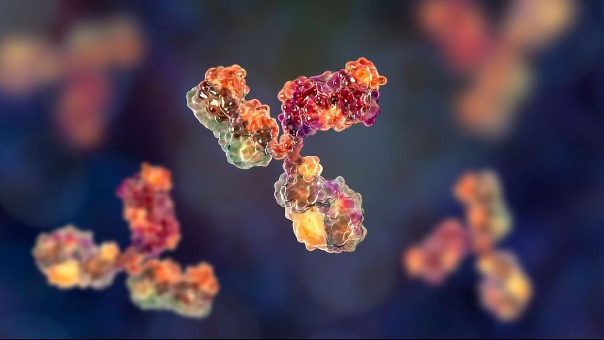 Открыты особенности динамики адаптивного иммунитета при туберкулезе