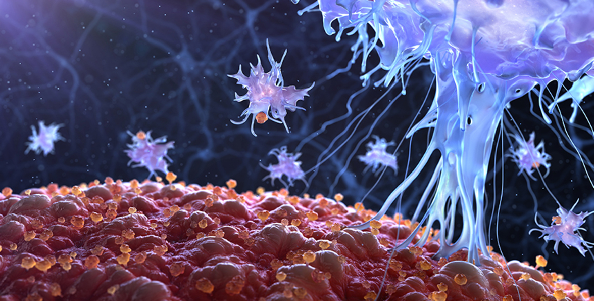 Что на самом деле означает "защита" от COVID?