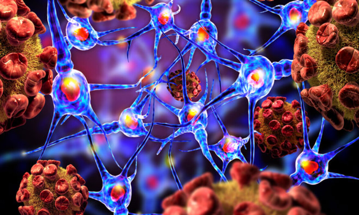 Древний ретровирус перемещается по нашему геному и может представлять опасность для регенеративной медицины