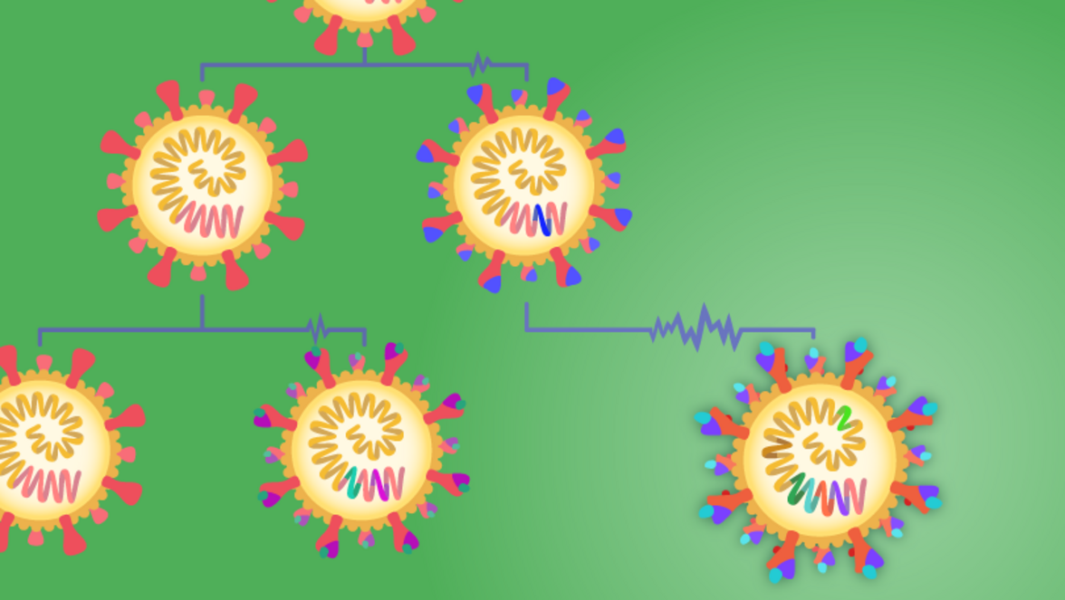 Почему он называется BA.2.12.1? Путеводитель по запутанному семейству Омикронов