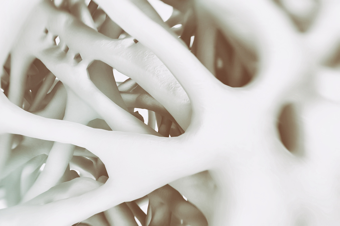 Микробиота кишечника и заболевания костей: развивающееся партнерство