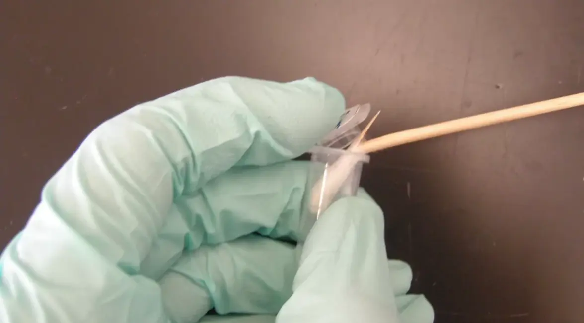 Микробная дактилоскопия: посмертный микробиом и криминалистика