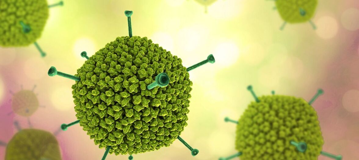 Вирусы внутри нас: вклад вирусов в жизнь