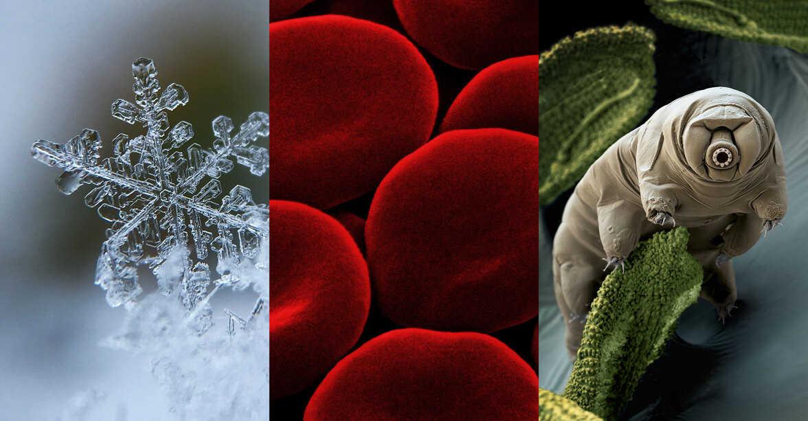 Шредингер и возможное существование различных типов жизни