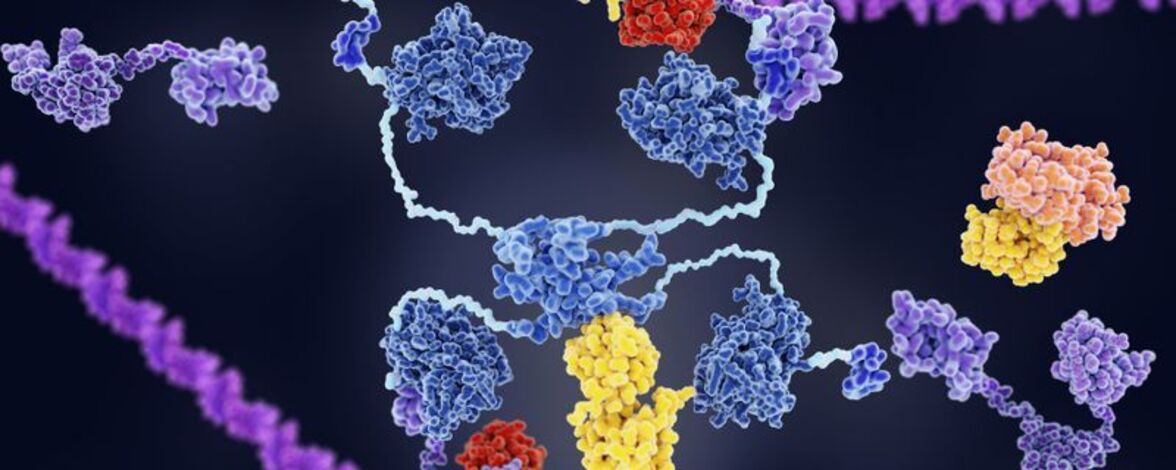 Исследование раскрывает структуру эндогенной обратной транскриптазы человека