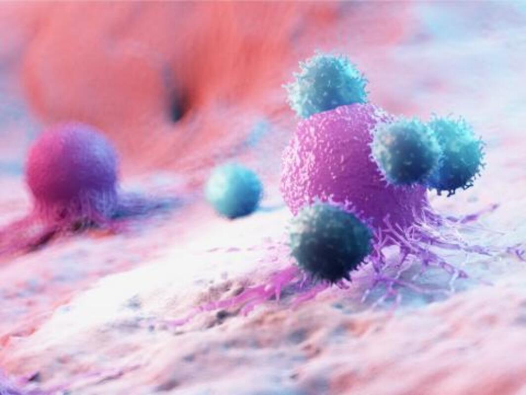 Онколитический аденовирус демонстрирует потенциал при детской диффузной внутрипочечной глиоме