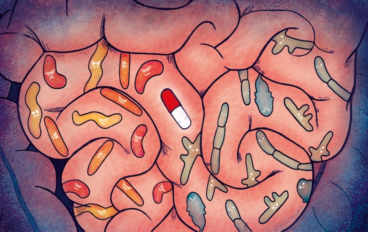 Исследование обнаружило значительные различия в микробиоте кишечника мужчин с раком простаты