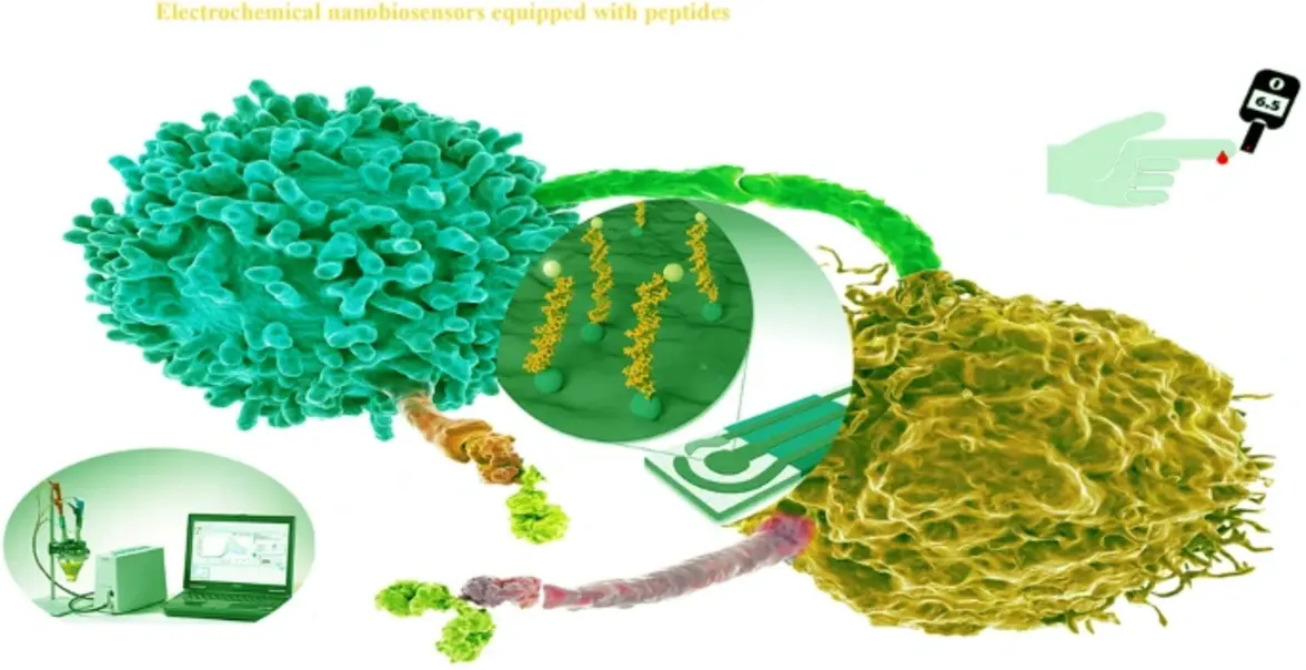 Использование взаимозаменяемых биосенсоров для улучшения биосинтеза алкалоидов