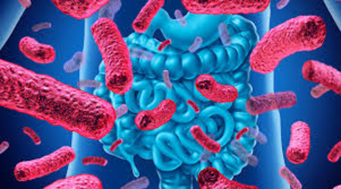 Открытие может проложить путь к новым целенаправленным методам лечения антителами