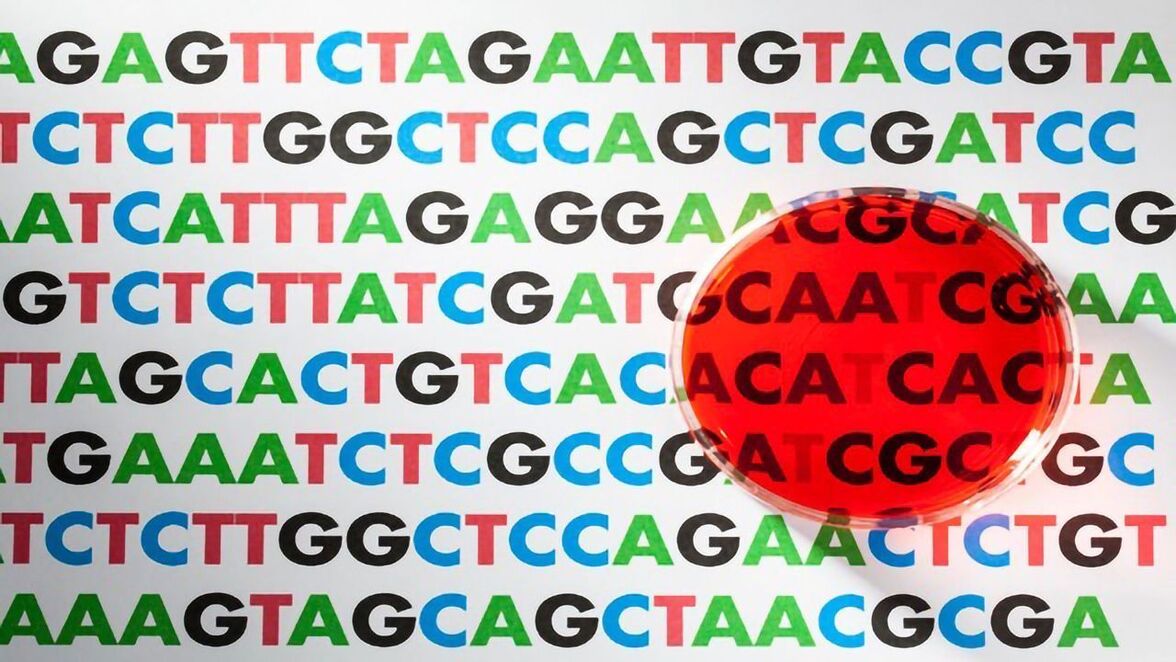 Использование количественного метагеномического секвенирования следующего поколения для подтверждения лихорадки неизвестной этиологии и инфекционных заболеваний