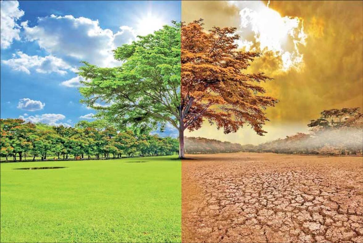 Микробиологи как эксперты в дискуссиях об изменении климата