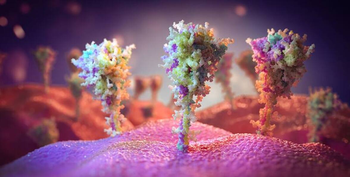 У людей с длинным COVID в крови могут оставаться белки спайков