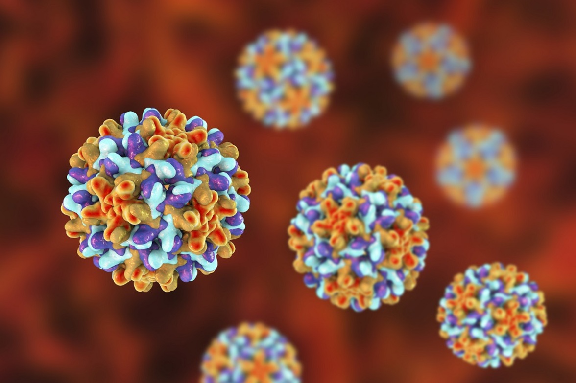 Исследование ALLIANCE предоставляет важные данные о лечении людей с коинфекцией ВИЧ и гепатита В