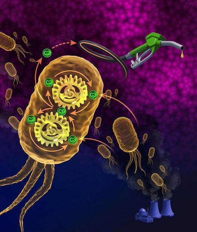 Микроорганизмы могут ферментировать двуокись углерода для получения топлива