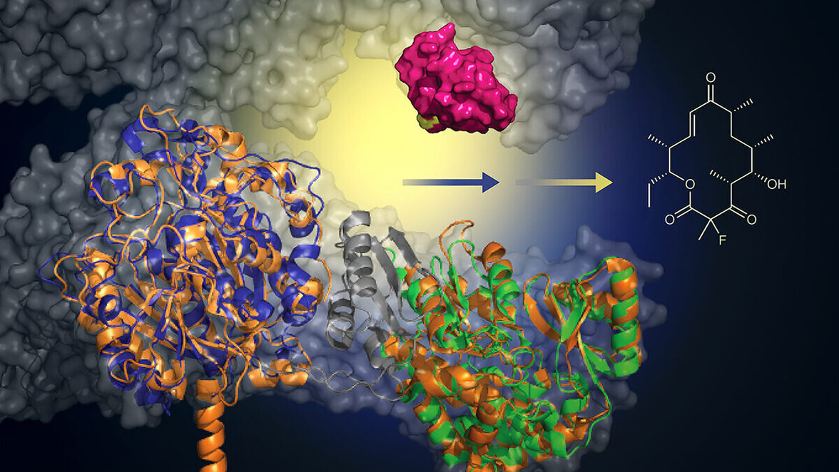 Ученые разработали более экологичный и эффективный метод производства антибиотиков нового поколения