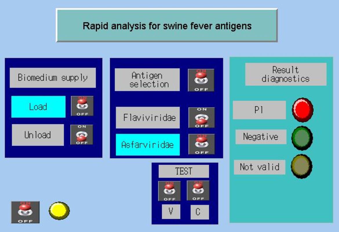 Пермские ученые разработали программу для выявления чумы свиней