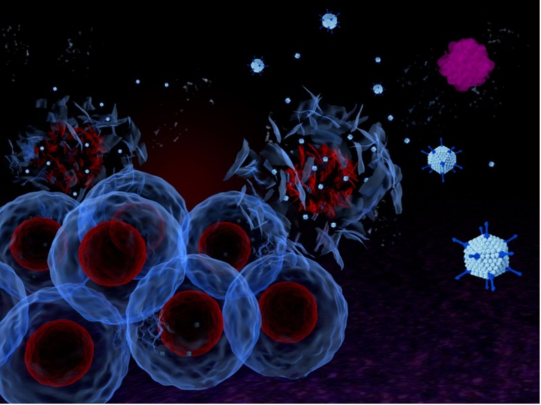 Терапевтические вирусы помогают усилить иммунную систему для борьбы с раком