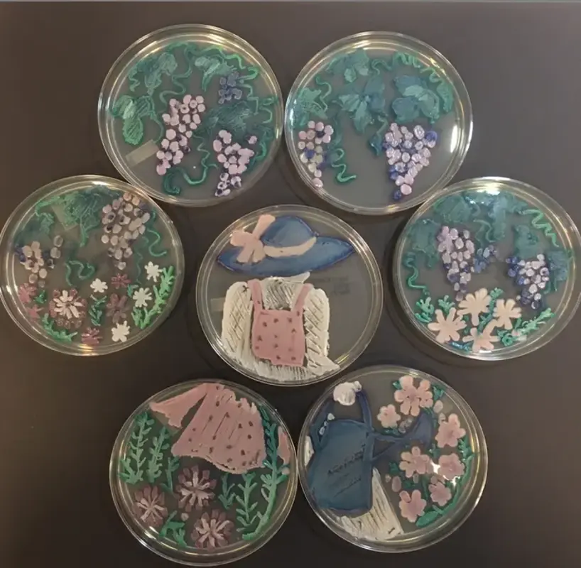 5 лучших советов по агаровому искусству