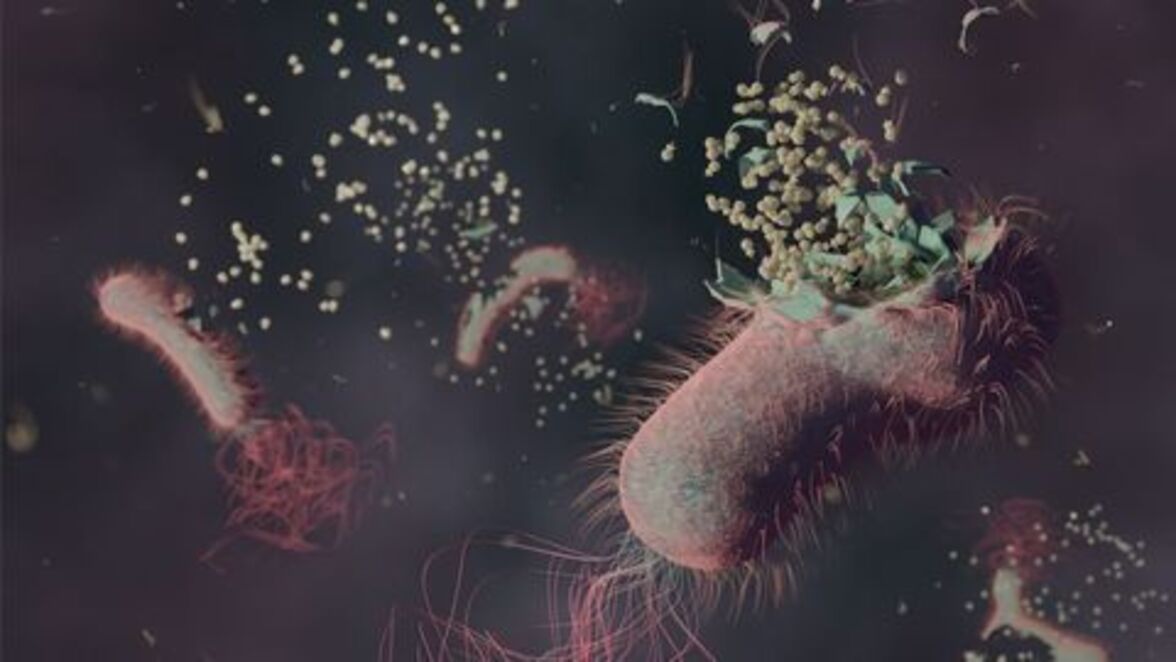 Фаговая терапия: прошлое, настоящее и будущее